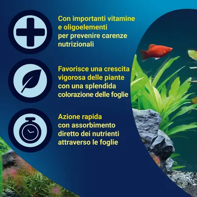 Importanti vitamine e oligoelementi, favorisce una crescita vigorosa delle piante e un rapido assorbimento dei nutrienti attraverso le foglie. Importanti vitamine e oligoelementi, favorisce una crescita vigorosa delle piante e un rapido assorbimento dei nutrienti attraverso le foglie.
