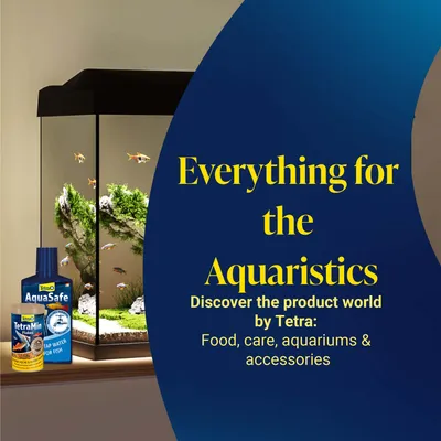 Everything for aquatics. Discover the world of Tetra products: food, care, aquariums, and accessories.