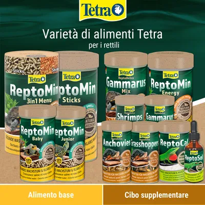 Varietà di alimenti Tetra per rettili: ReptoMin 3in1 Menu, Sticks, Baby, Junior, Energy, Gammarus Mix, Shrimps, Anchovies, Grasshoppers, ReptoCal, ReptoSol. Alimento base e cibo supplementare.