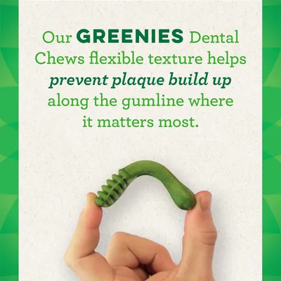 Text: Our GREENIES Dental Chews flexible texture helps prevent plaque build up along the gumline where it matters most. Image shows a hand bending a green dental chew.