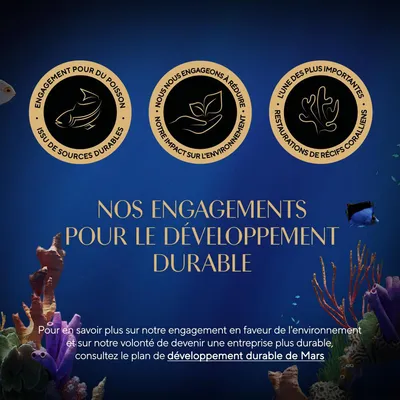 Engagement pour du poisson issu de sources durables, réduction de l’impact environnemental, restauration de récifs coralliens. Nos engagements pour le développement durable.