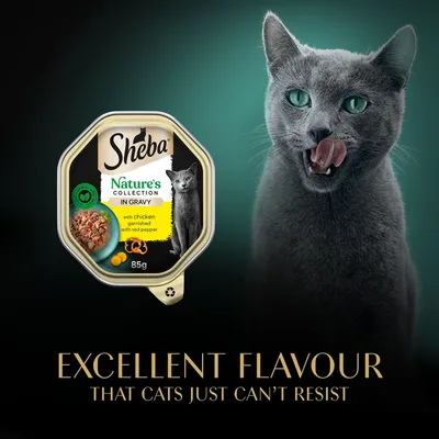 Sheba Nature's Collection in Gravy, with chicken garnished with red pepper, 85g. Text: Excellent flavour that cats just can’t resist.