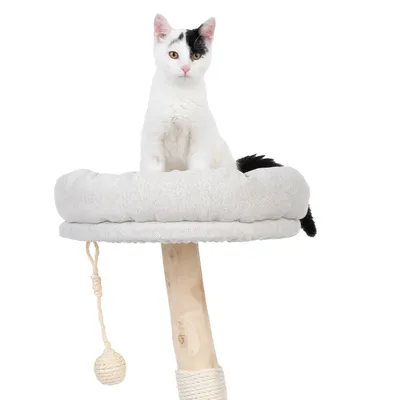 Rascador con superficie acolchada, poste de madera y pelota de cuerda. Gato blanco sentado en la superficie.