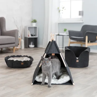 Prodotti in feltro grigio per gatti: tipi con struttura in legno e cuscino, letto rotondo con imbottitura in peluche, cesta aperta. Gatto nel tipi. Soggiorno moderno sullo sfondo.