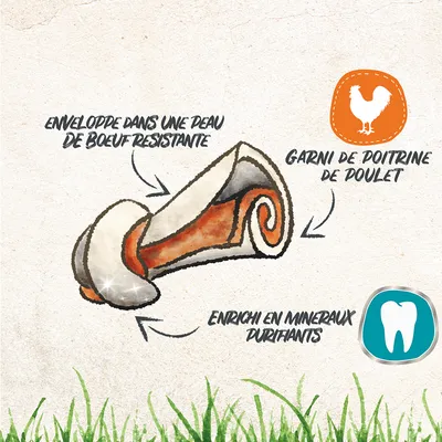 Illustration d’un os à mâcher avec texte : enveloppe dans une peau de bœuf résistante, garni de poitrine de poulet, enrichi en minéraux purifiants. Icônes poulet et dent visibles.