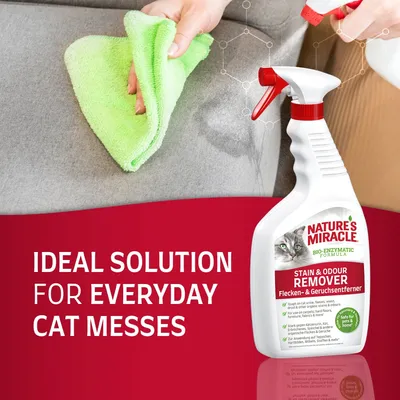 Sprayflaska Nature's Miracle Stain & Odour Remover med kattbild, text: 'Ideal solution for everyday cat messes', hand torkar fläck på soffa med grön trasa.