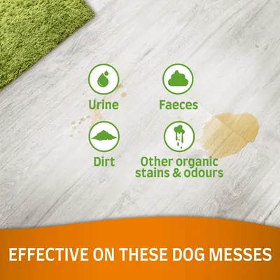 Text på engelska: Urine, Faeces, Dirt, Other organic stains & odours. Effective on these dog messes. Bild visar fläckar på golv bredvid grön matta.