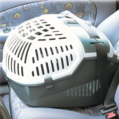 Transportbox mit Lüftungsschlitzen, gesichert durch einen Sicherheitsgurt auf einem Autositz. Geeignet für den sicheren Transport von Haustieren im Auto.