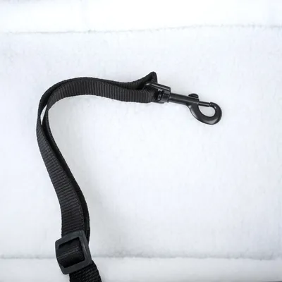 Schwarzer Nylon-Gurt mit verstellbarer Schnalle und Metallkarabinerhaken, geeignet für Befestigung oder Sicherung.