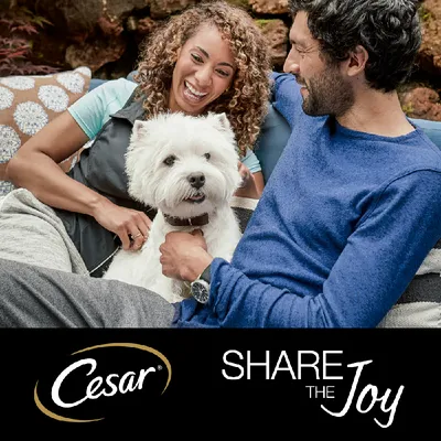 Cesar. Share the Joy.