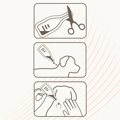 Anleitung zur Anwendung einer Pipette: Spitze abschneiden, Flüssigkeit auf den Nacken des Hundes tropfen, dann sanft einmassieren.