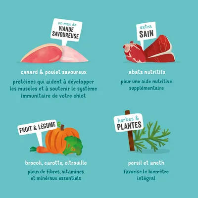 Illustration avec ingrédients : canard et poulet, abats, brocoli, carotte, potiron, persil et aneth. Légendes soulignant protéines, nutriments, vitamines et bien-être global.