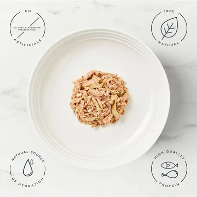 Encore Cat Tin 16 x 70g