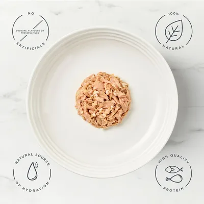 Encore Cat Tin Multibuy 48 x 70g