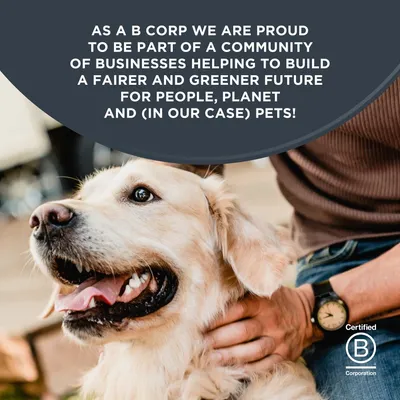 Encore Dog Gravy Pouch Mix Saver Pack 20 x 100g