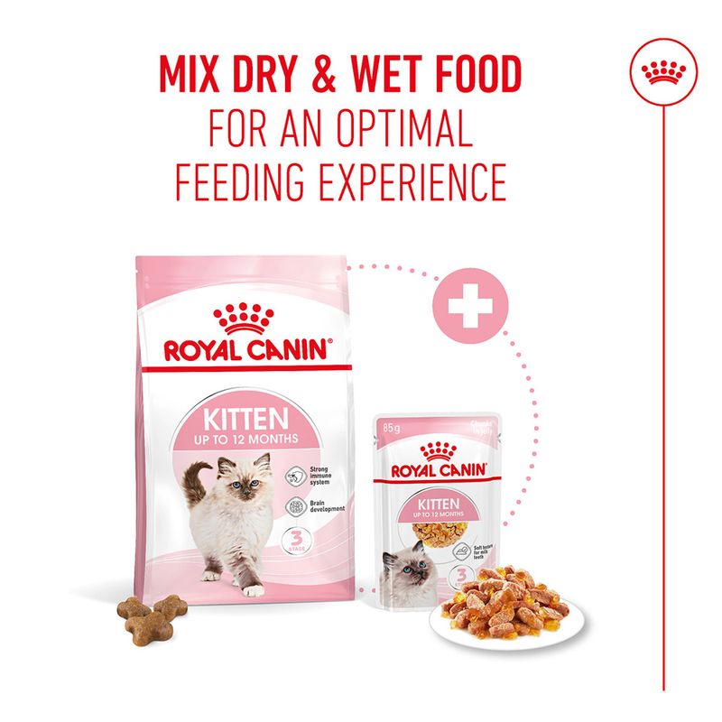 Royal Canin Kitten in Jelly | zooplus
