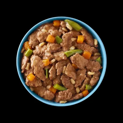 Bowl of wet pet food with brown chunks, orange and green vegetable pieces, and gravy in a blue dish, viewed from above