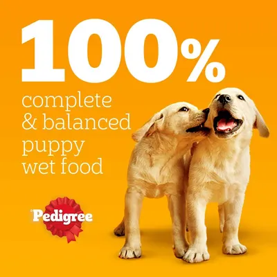 100% complete & balanced puppy wet food. Pedigree. Az angol szöveg a képen látható, két kölyökkutya sárga háttér előtt.