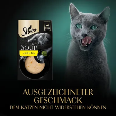Sheba Soup mit Huhn, Packung x4 40g. Ausgezeichneter Geschmack, dem Katzen nicht widerstehen können.