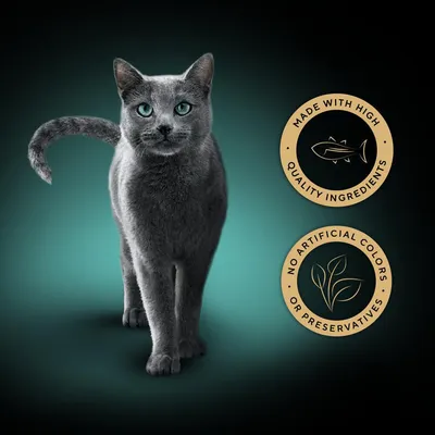 Product features: made with high quality ingredients, no artificial colours or preservatives.