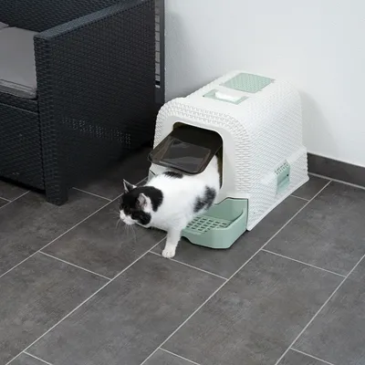 Weisse Katzentoilette mit grüner Schublade und Klappe, Katze verlässt die Toilette. Gezeigt auf grauem Fliesenboden neben einem schwarzen Rattanstuhl.