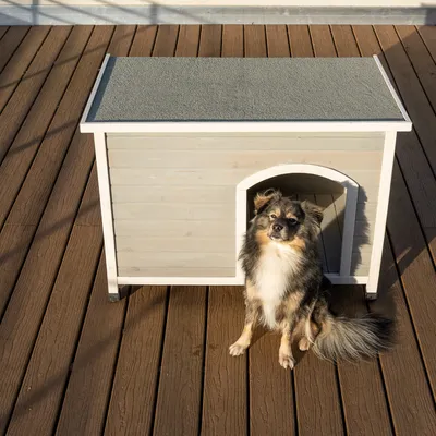 Hundkoja i trä med grått tak på terrass, hund sitter framför ingången.