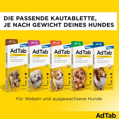 AdTab Kautabletten für Hunde, tötet Flöhe und Zecken, Wirksamkeit 30 Tage. Verschiedene Packungen je nach Gewicht des Hundes: 1-2,5 kg bis 22-45 kg. Für Welpen und ausgewachsene Hunde.
