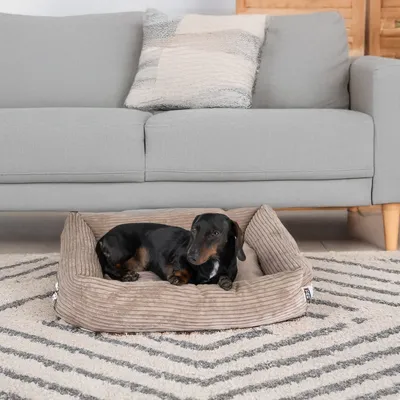 Hund liegt in einem braunen, gerippten Hundebett auf einem Teppich vor einem grauen Sofa.