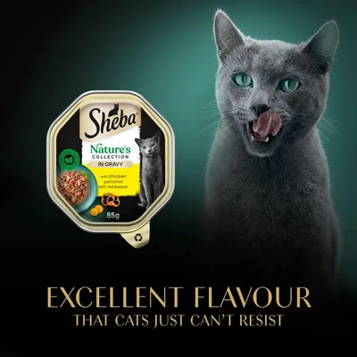 Sheba Nature’s Collection in Gravy, with chicken garnished with red pepper, 85g. Text: Excellent flavour that cats just can’t resist.