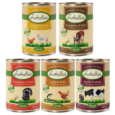 Five Lukullus Adult 400g tins with visible flavours: poultry and lamb, rabbit and game, wild rabbit and turkey, salmon and chicken, beef and turkey. All tins display flavour names.