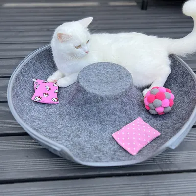 Grå filt-kattsäng med upphöjd mittdel, på den en vit katt. Leksaker: rosa boll och två rosa kuddar med mönster.