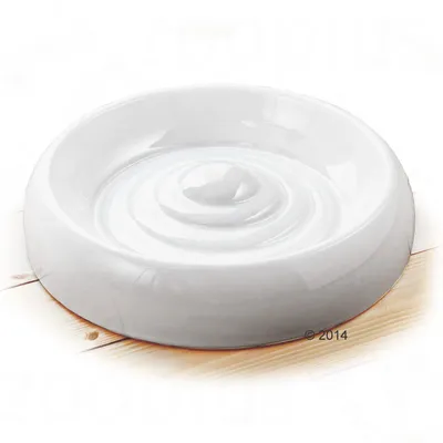 White ceramic pet bowl with raised spiral pattern inside, shown on a light wooden surface. No visible brand or text.