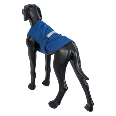 Maniquí de perro negro lleva una chaqueta azul para perro con una franja reflectante en la espalda.