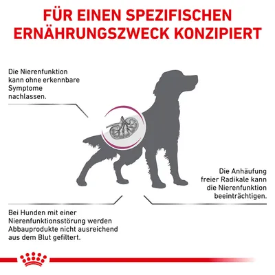 Texte en allemand : Für einen spezifischen Ernährungszweck konzipiert. Explications sur la fonction rénale du chien et les effets des radicaux libres, avec schéma d’un rein.