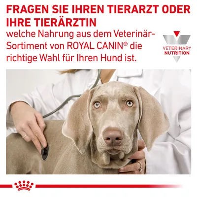 Fragen Sie Ihren Tierarzt oder Ihre Tierärztin, welche Nahrung aus dem Veterinär-Sortiment von Royal Canin die richtige Wahl für Ihren Hund ist. Veterinary Nutrition Logo sichtbar.