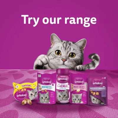 Whiskas Relax & Unwind Adult Cat Treats with Chicken - 45g