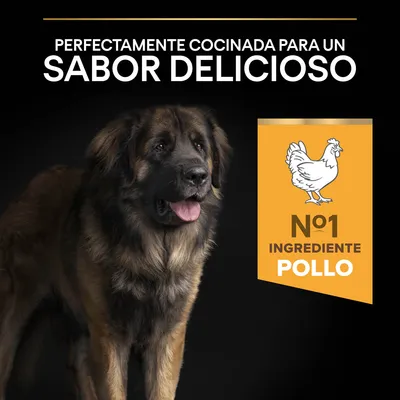 Texto: Perfectamente cocinada para un sabor delicioso. Nº1 ingrediente pollo. Imagen de un perro grande de pelaje marrón y negro junto a icono de pollo.