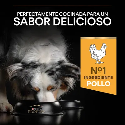 Perro comiendo de un cuenco Purina Pro Plan. Texto visible: 'Perfectamente cocinada para un sabor delicioso', 'Nº1 ingrediente pollo'. Imagen de pollo dibujado.