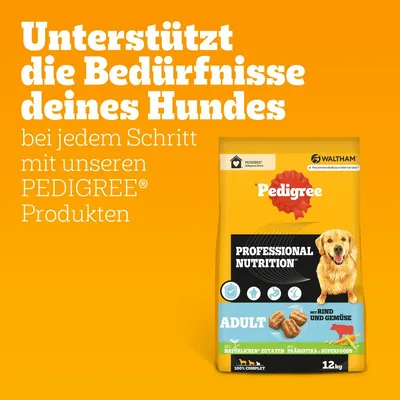 Pedigree Professional Nutrition Adult mit Rind und Gemüse, 12kg. Unterstützt die Bedürfnisse deines Hundes bei jedem Schritt mit natürlichen Zutaten, Präbiotika und Superfoods.