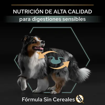 NUTRICIÓN DE ALTA CALIDAD para digestiones sensibles. Fórmula Sin Cereales. Imagen de perro con icono de estómago y flechas en el costado.