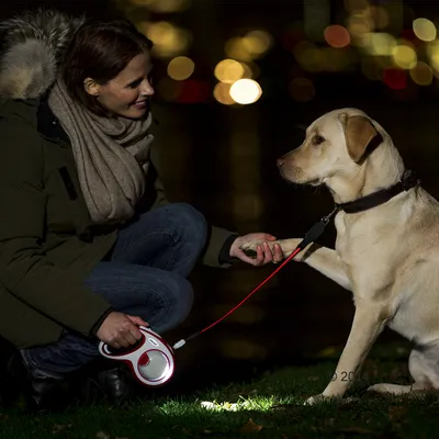 Person using an illuminated retractable lead with a dog at night, showing the product in use for visibility and control during evening walks.