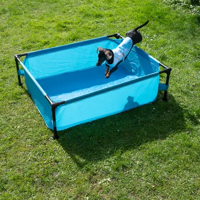Blauer faltbarer Pool mit Metallrahmen, Hund springt hinein. Geeignet für den Aussenbereich auf Gras.