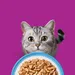 Whiskas 7+ Senior Sachets fraîcheur 40 x 85 g