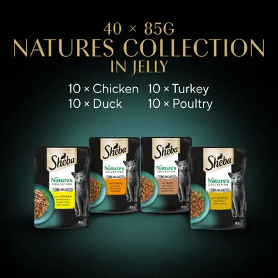 Sheba Nature's Collection in Jelly, 40 x 85g pouches: 10 chicken, 10 duck, 10 turkey, 10 poultry. Product image shows four pouch varieties with visible ingredients.