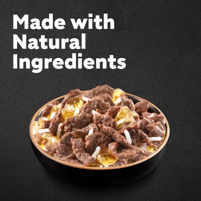 Cesar 10+ Senior Selection in Jelly