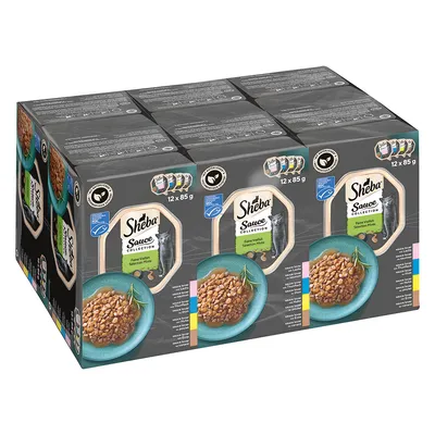 Sheba Sauce Collection, 12×85 g. Na obalu miska s krmivem pro kočky, obrázek kočky a barevné označení variant. Viditelný text: Sheba Sauce Collection, Feine Vielfalt Selection Mix.