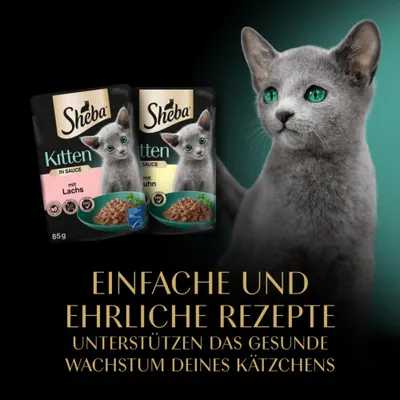 Sheba Portionsbeutel Multipack Kitten Feine Vielfalt in Sauce 40 x 85 g Sheba Portionsbeutel Multipack Kitten Feine Vielfalt in Sauce 40 x 85 g