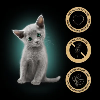 Graue Katze mit grünen Augen. Siegel: 100% komplett und ausgewogene Ernährung, ohne Getreide, ohne künstliche Farb- oder Konservierungsstoffe.