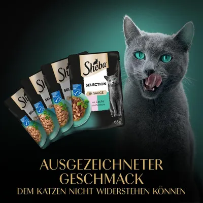 Sachets Sheba Selection in Sauce 85 g, avec saumon et sébaste, texte en allemand : Ausgezeichneter Geschmack dem Katzen nicht widerstehen können. Chat gris à côté des sachets.
