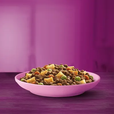 Bowl filled with assorted dry pet food pieces in various shapes and colours, including brown, yellow, green, and orange, displayed on a purple surface.